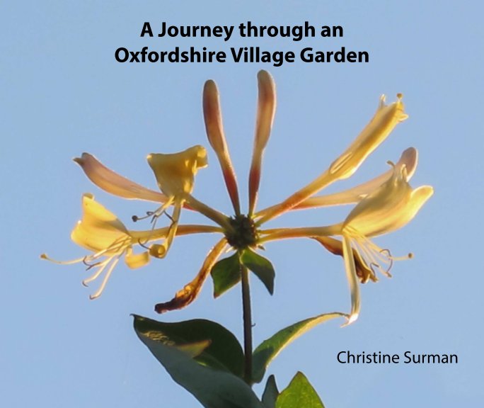 View A Journey through an Oxfordshire Village Garden by Christine Surman