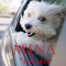 Mina book cover