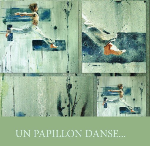 Visualizza Un papillon danse... di Christophe Boes