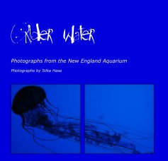 Under Water book cover