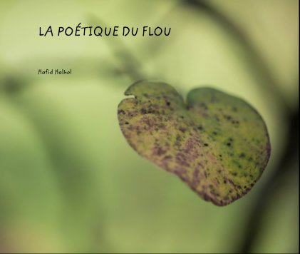 LA POÉTIQUE DU FLOU book cover