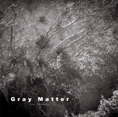 Gray Matter book cover