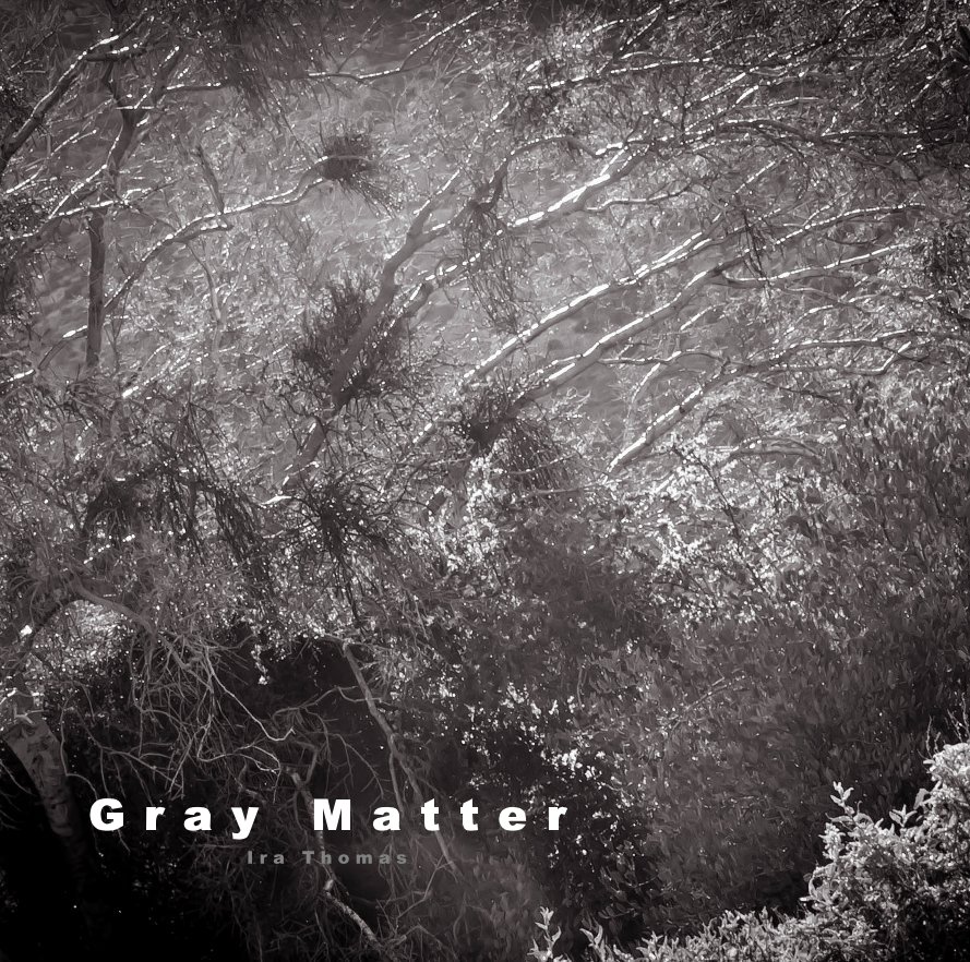 Visualizza Gray Matter di Ira Thomas