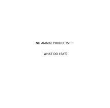NO ANIMAL PRODUCTS!!!!!  WHAT DO I EAT? book cover