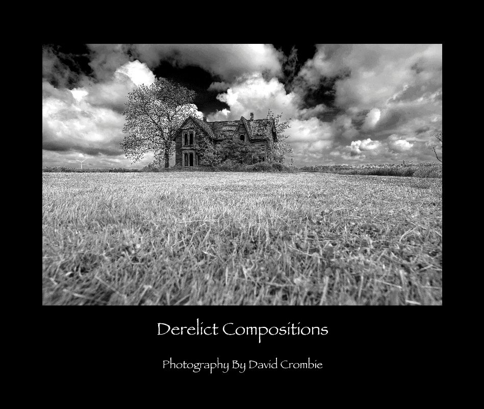 View Derelict Compositions (Large Format) by David Crombie