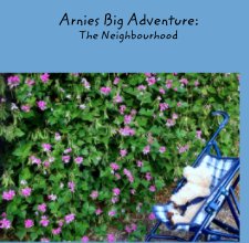 Arnies Big Adventure:
The Neighbourhood book cover