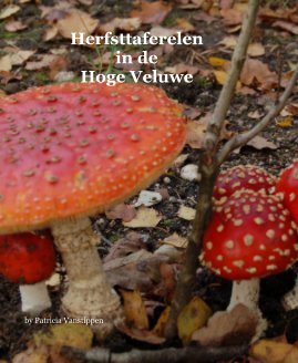 Herfsttaferelen in de Hoge Veluwe book cover