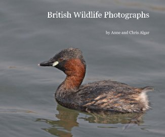 British Wildlife Photographs book cover