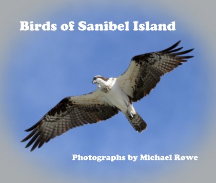 Birds of Sanibel Island book cover
