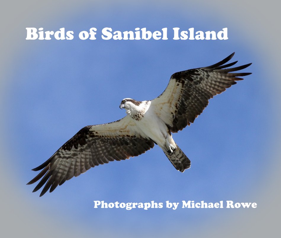 View Birds of Sanibel Island by Mike Rowe