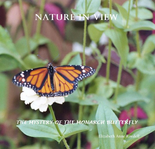 View NATURE IN VIEW by Elizabeth Anne Roedell