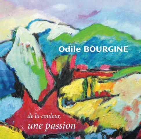View De la couleur une passion by Odile Bourgine
