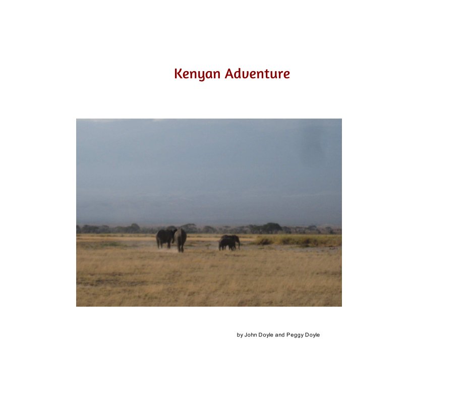 View Kenyan Adventure by John Doyle, Peggy Doyle