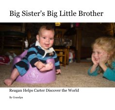 Big Sister's Big Little Brother book cover
