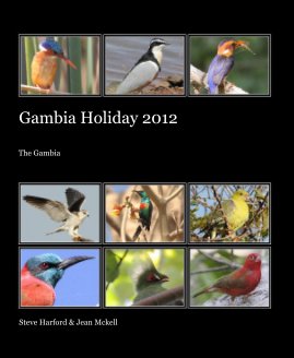 Gambia Holiday 2012 book cover