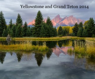 Yellowstone and Grand Teton 2014 book cover