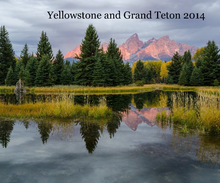 View Yellowstone and Grand Teton 2014 by Patrick St Onge
