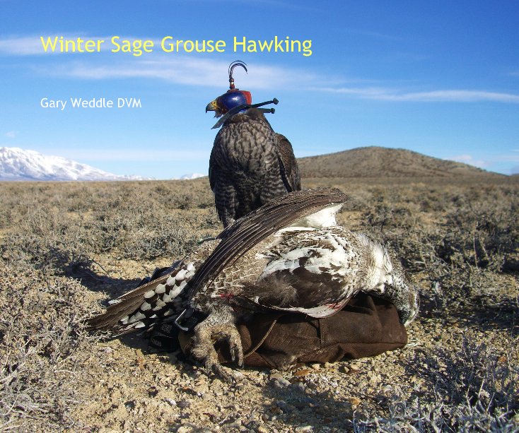 View Winter Sage Grouse Hawking by Gary Weddle DVM