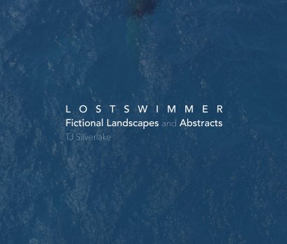 Lost Swimmer book cover