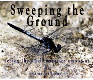 Sweeping The Ground book cover