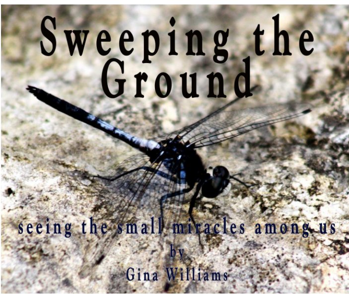 Ver Sweeping The Ground por Gina Williams
