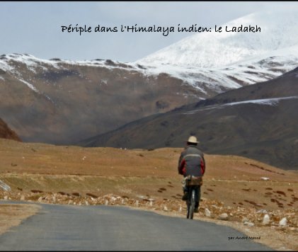 Périple dans l'Himalaya indien: le Ladakh book cover