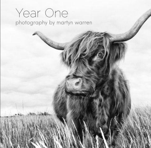 View Year One by Martyn Warren
