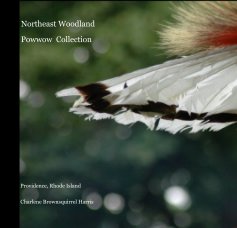Northeast Woodland Powwow Collection book cover