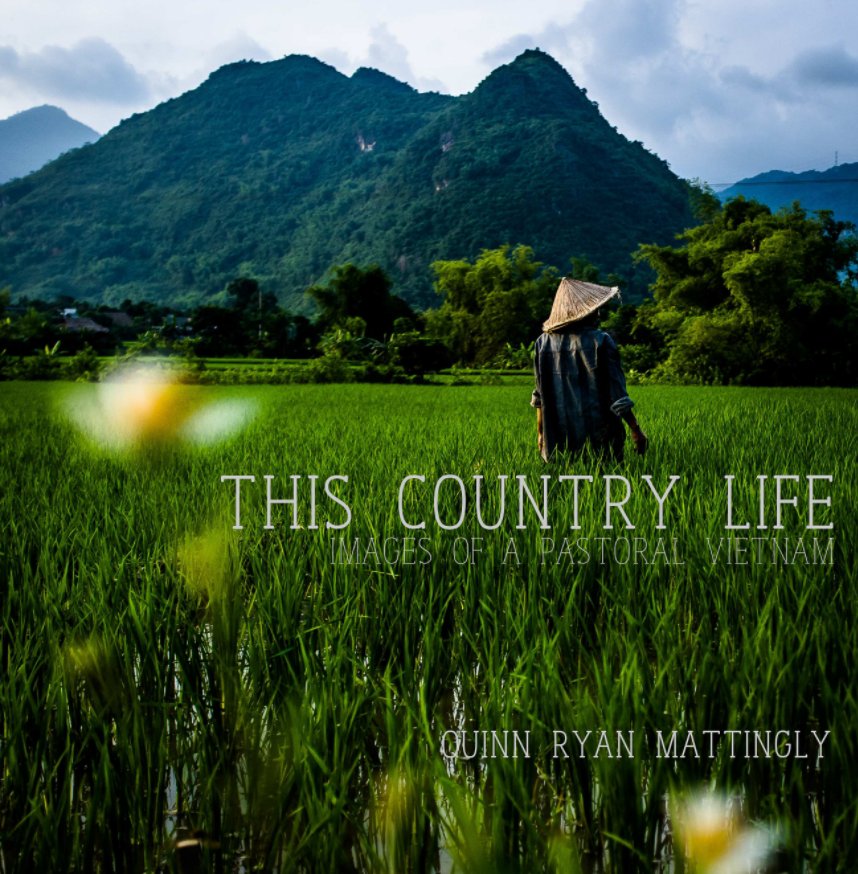 View This Country Life (large 12" version) by Quinn Ryan Mattingly