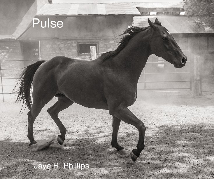View Pulse by Jaye R. Phillips