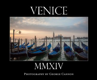 VENICE  -  MMXIV ( 8x10 softcover) book cover