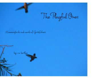 The Playful Ones book cover