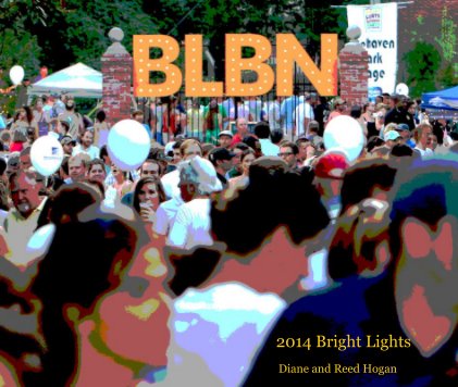 2014 Bright Lights book cover