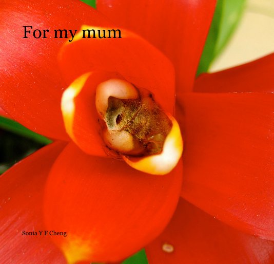 View For my mum by Sonia Y F Cheng