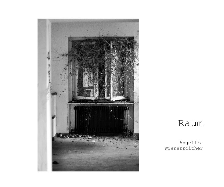 View Raum by Angelika Wienerroither