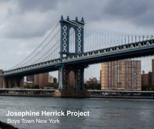 Josephine Herrick Project Boys Town New York book cover