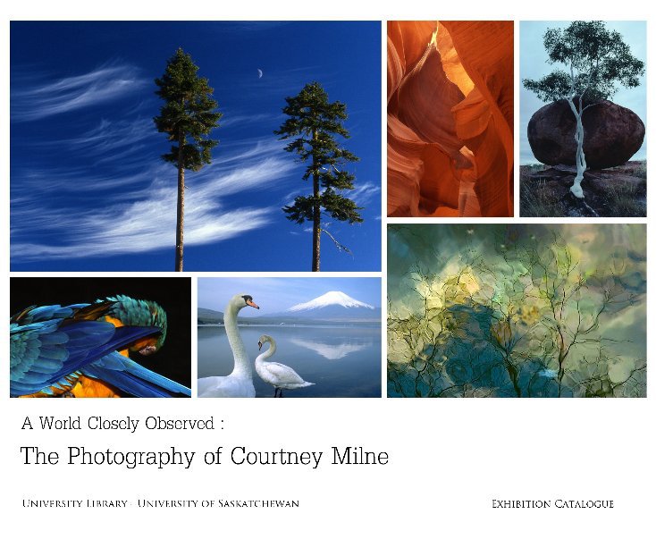 View A World Closely Observed (hardcover) by Cheryl Avery (curator)