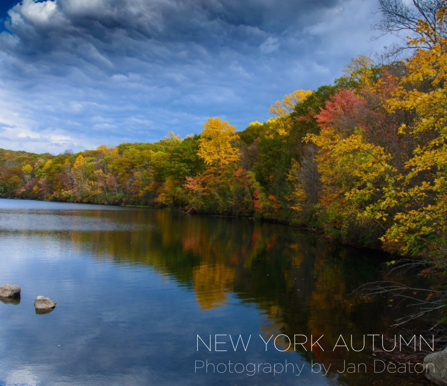 View NY Autumn by Jan Deaton