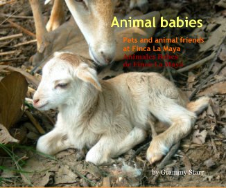 Animal babies book cover