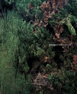 Maegan Hill-Carroll book cover