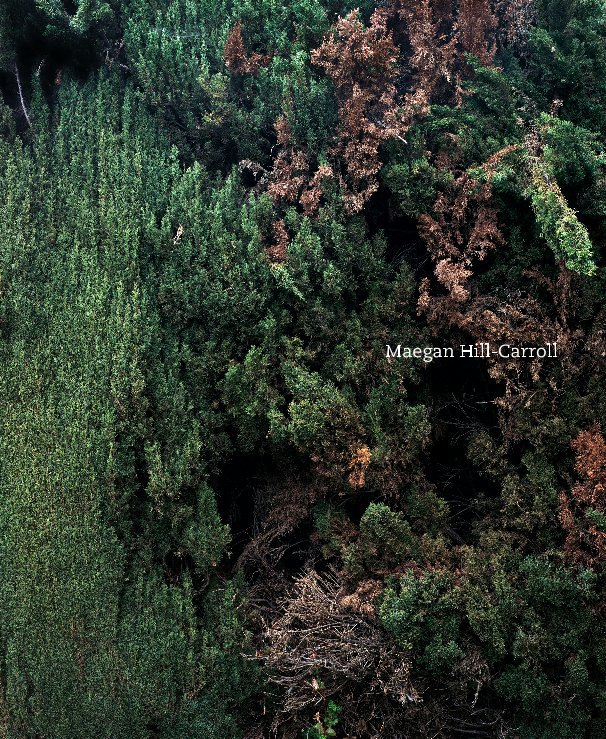 View Maegan Hill-Carroll by MaeganHC