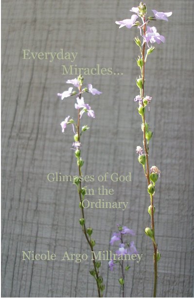 Ver Everyday Miracles... Glimpses of God in the Ordinary por Nicole Argo Millraney