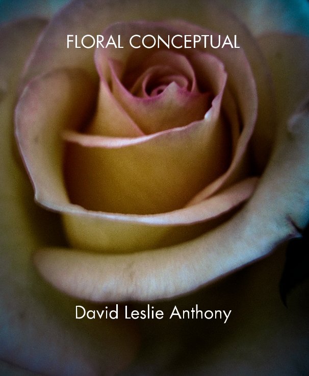 View Floral Conceptual by DAVID LESLIE ANTHONY