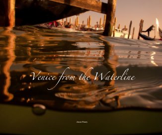 Venice from the Waterline book cover