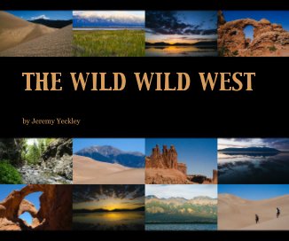 THE WILD WILD WEST book cover