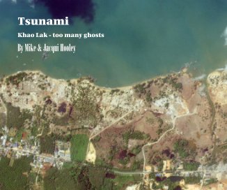 Tsunami book cover