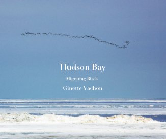 Hudson Bay book cover