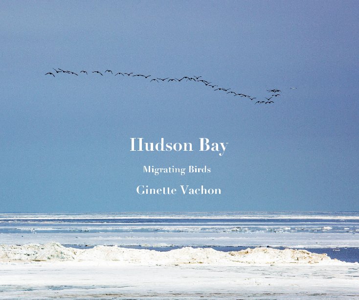 View Hudson Bay by Ginette Vachon