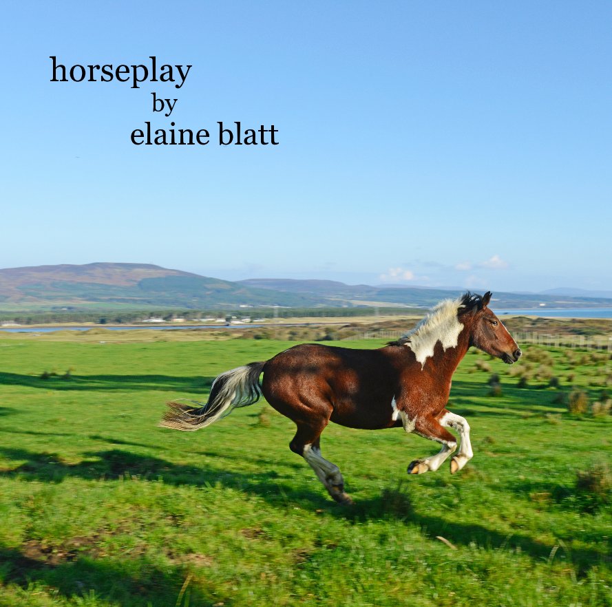 Bekijk horseplay by elaine blatt op elaine blatt