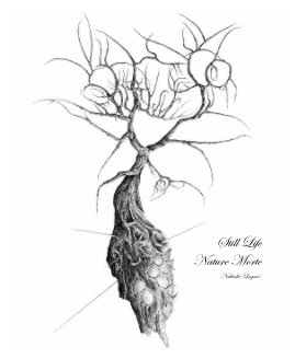 Still Life Nature Morte book cover